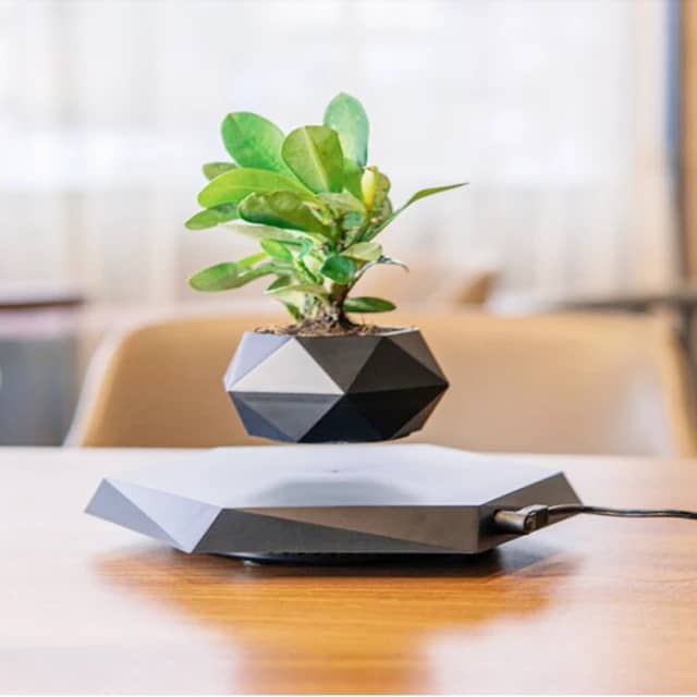 Floating Plant Pot Levitating Plant Pot for Succulents air Bonsai Plants Floating Planter for Home Office Desk Levitating Decor