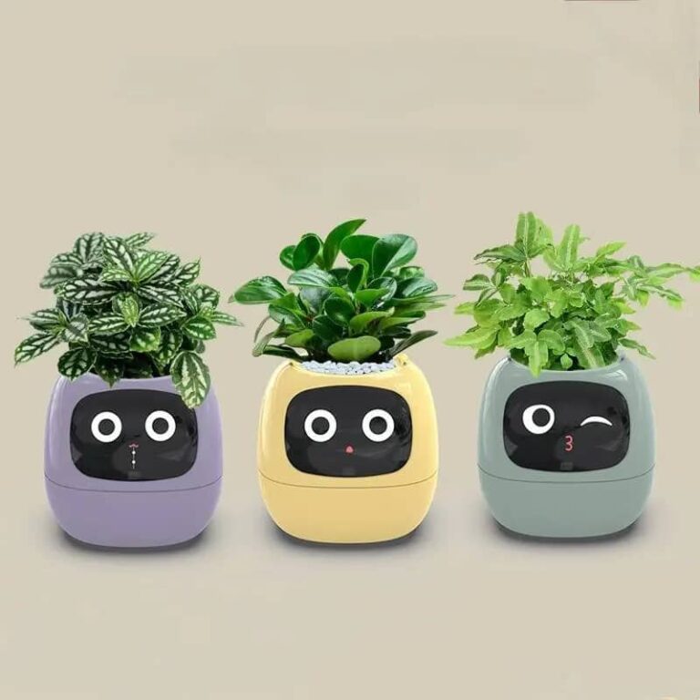 Ivy Smart Planter Endless Fun Over 49 Rich Expressions