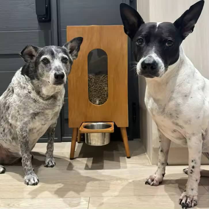 Wooden pet feeder grain